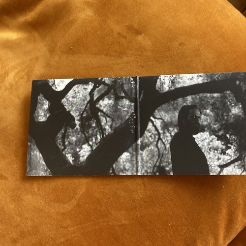 Ghost on Ghost by Iron & Wine (CD, 2013) - Bild 2 von 6