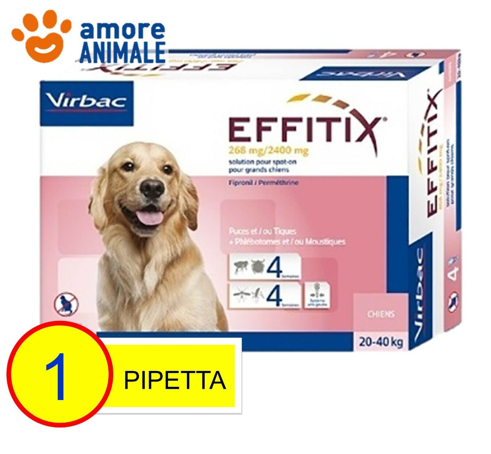 Foto 3 di 6