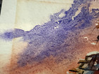 Water Color Art by Cathy Cox — photo 8
