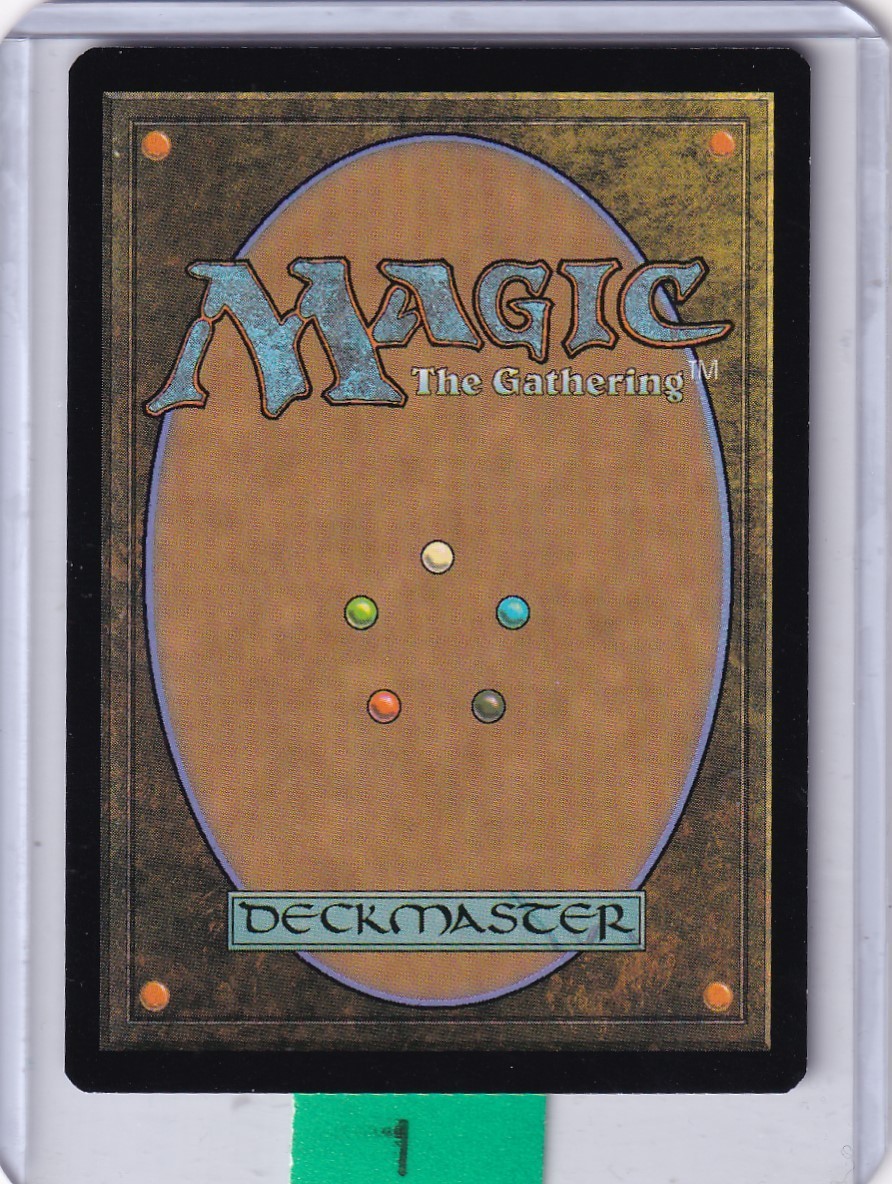 吹きさらしの荒野 [EXP] ゼンディカーエクスペディション Foil Fetid Heath Zendikar Expeditions Foil for sale online | eBay