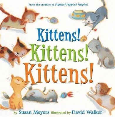 Kittens! Kittens! Kittens!