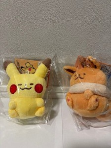 Pokemon Yurutto Plush | eBay
