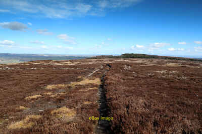 Photo 6x4 Branch track on Braithwaite Moor Coverham This track is not sho c2022
