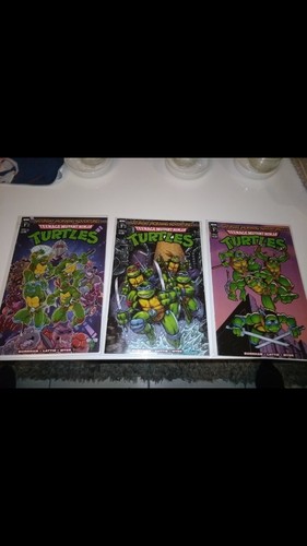 Teenage Mutant Ninja Turtles Saturday Morning Adventures Continued #4 (Cover A
