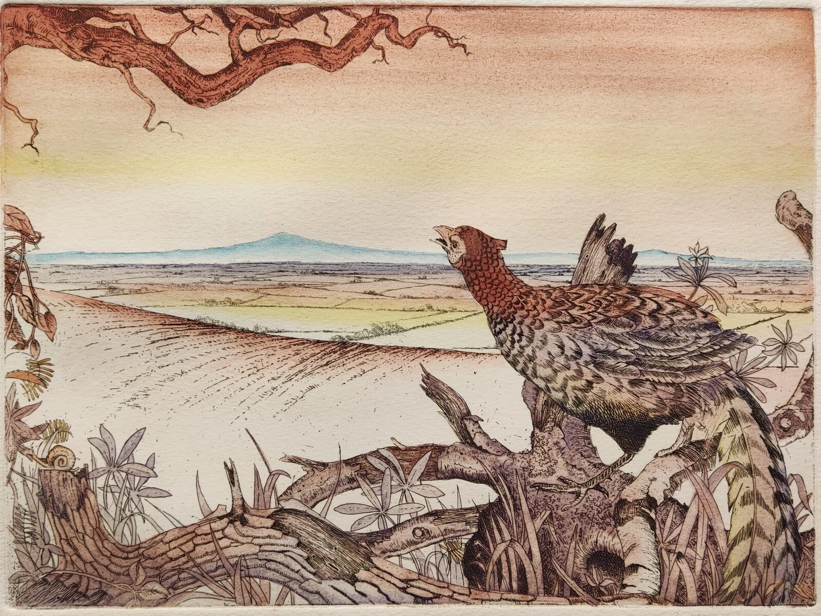 J. RATTIGAN SIGNED ORIGINAL HAND-TINTED ETCHING "GREEN PHEASANT" LTD ED 2/50 - Picture 3 of 21