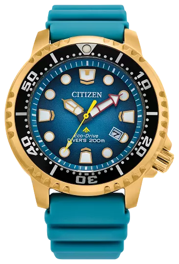 New citizen promaster diver clearance