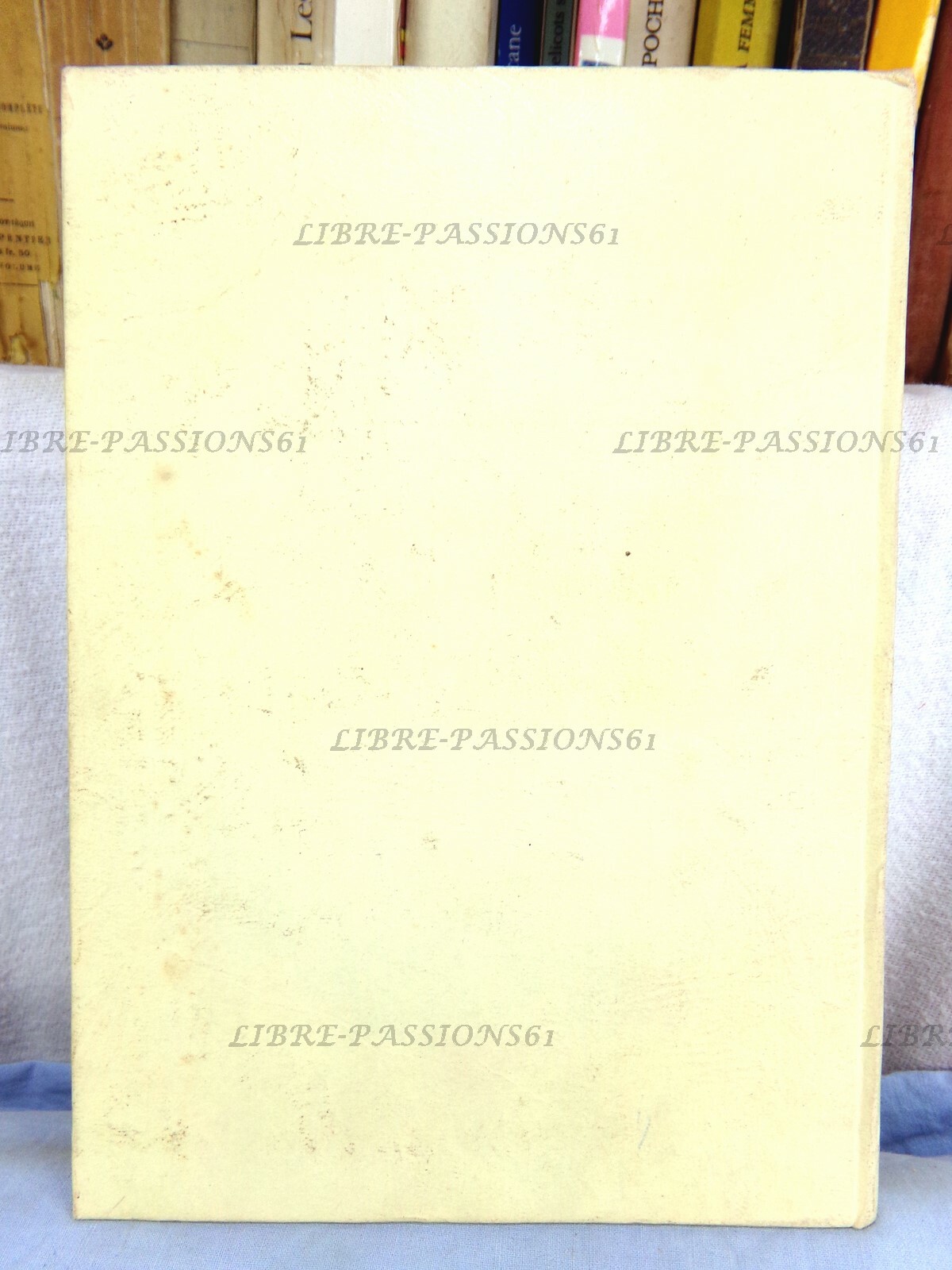 Foto 2 di 12