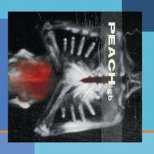 Giving Birth To A Stone von Peach | CD | Zustand sehr gut