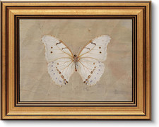 Vintage Gold Framed Wall Art for Living Room, White Butterfly Canvas Prints Home