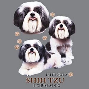 Imperial Shih Tzu Size Chart