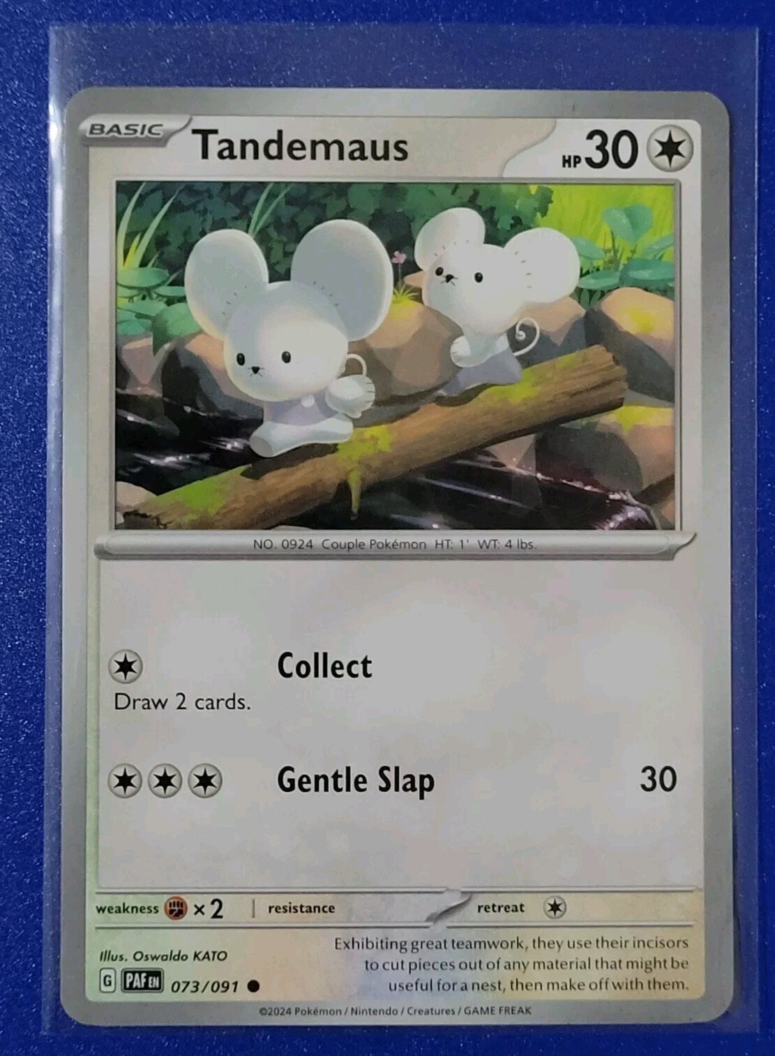 Pokémon TCG Paldean Fates: Tandemaus (073/091) - Common - Near Mint