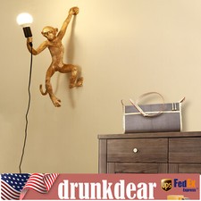 Vintage Resin Monkey Hanging Lamp Hemp Rope Pendant Wall Light Ceiling Decor