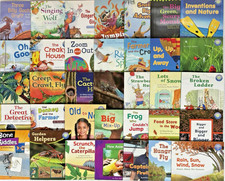 1st GRADE READERS Homeschool Fountas & Pinnel...