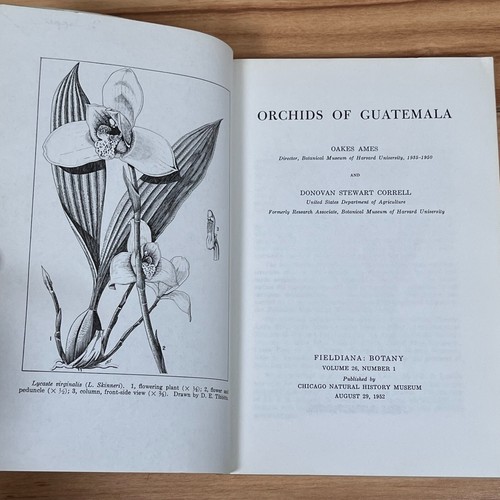 RARE Orchids of Guatemala Ames & Correll Chicago Natural History Museum Botany - Foto 9 di 18