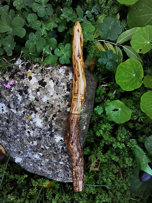Gorsestab Druide Ogham ca. 12 Zoll Heilige Kraft der Bäume