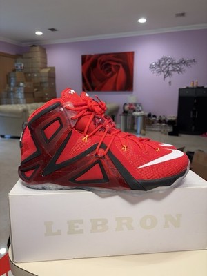 Size 16 - Nike LeBron 12 Elite Team Brand New | eBay
