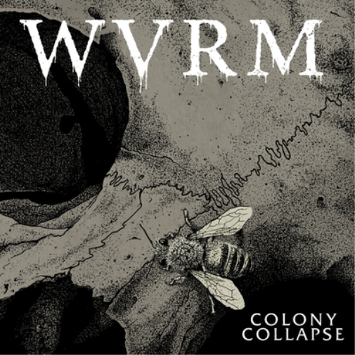 WVRM Colony Collapse (CD) Album
