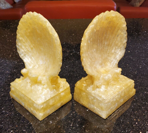 Clam Sea Shell Bookend Set Rare Translucent Capiz-Finish Nautical Beach Ocean - Foto 4 di 12