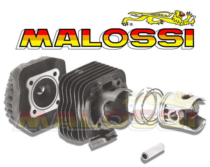 Haut moteur complet Malossi avec cylindre et culasse pour scooter Peugeot 50cc 2T AC