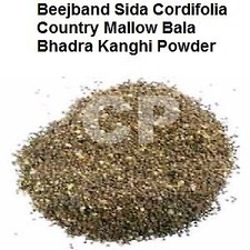 Beejband Sida Cordifolia Country Mallow Bala Bhadra Kanghi Powder 50gm 1.7 OZ .