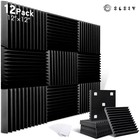 Soundproofing Studio 12 Pack, KTV Sound Absorbing Foam Panels Sponge Pad 