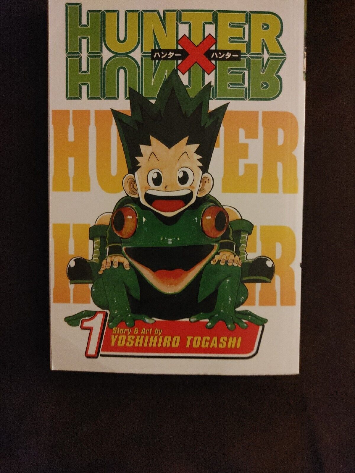 Hunter X Hunter, Volume 1: The Day of Departure