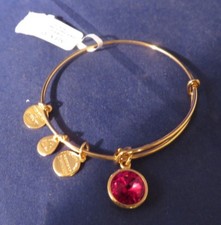 Alex  Ani - January Garnet Birthstone Bracelet - Expandable