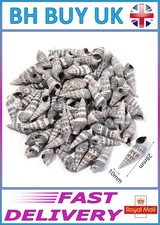 40g AQUARIUM SNAIL SHELLS DECORATION CRAFTS HERMIT CRAB MARINE FISH TANK (ZA02)