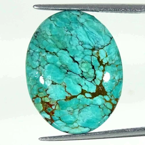 12.90Cts Natural Tibetan Turquoise Oval Cabochon Loose Gemstone