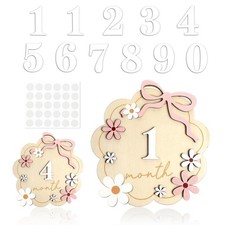 Baby Monthly Milestone Cards Wooden Flower 11 Interchangeable Number Props