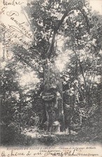 89 CHATEAU GRANGE ARTHUIS CHENE - 748