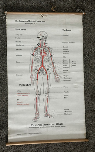 1933 American Red Cross First Aid Instruction Chart Poster 35 by 22 Inches