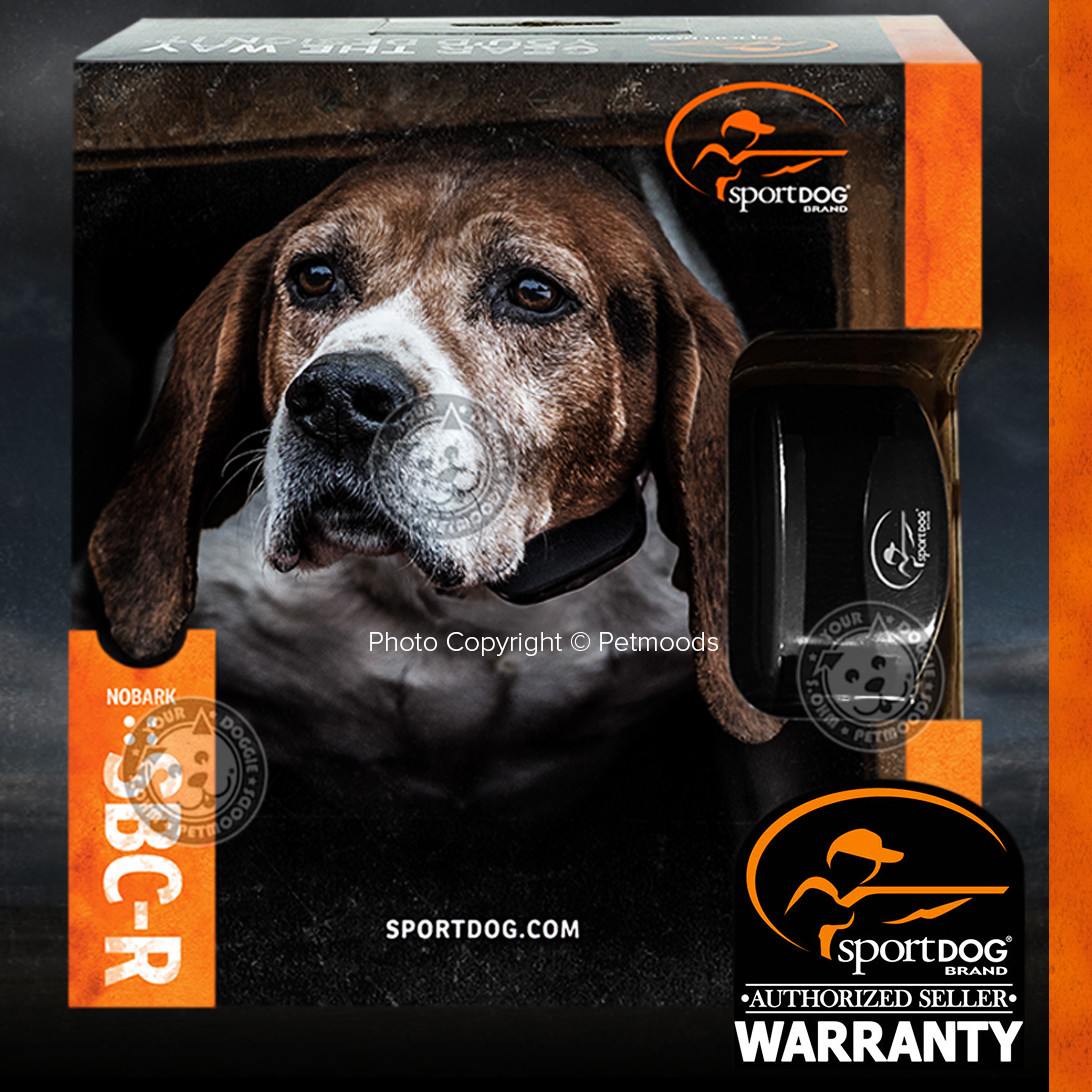SportDOG SBCR NoBark Rechargeable Collar Stop Dog Barking eBay