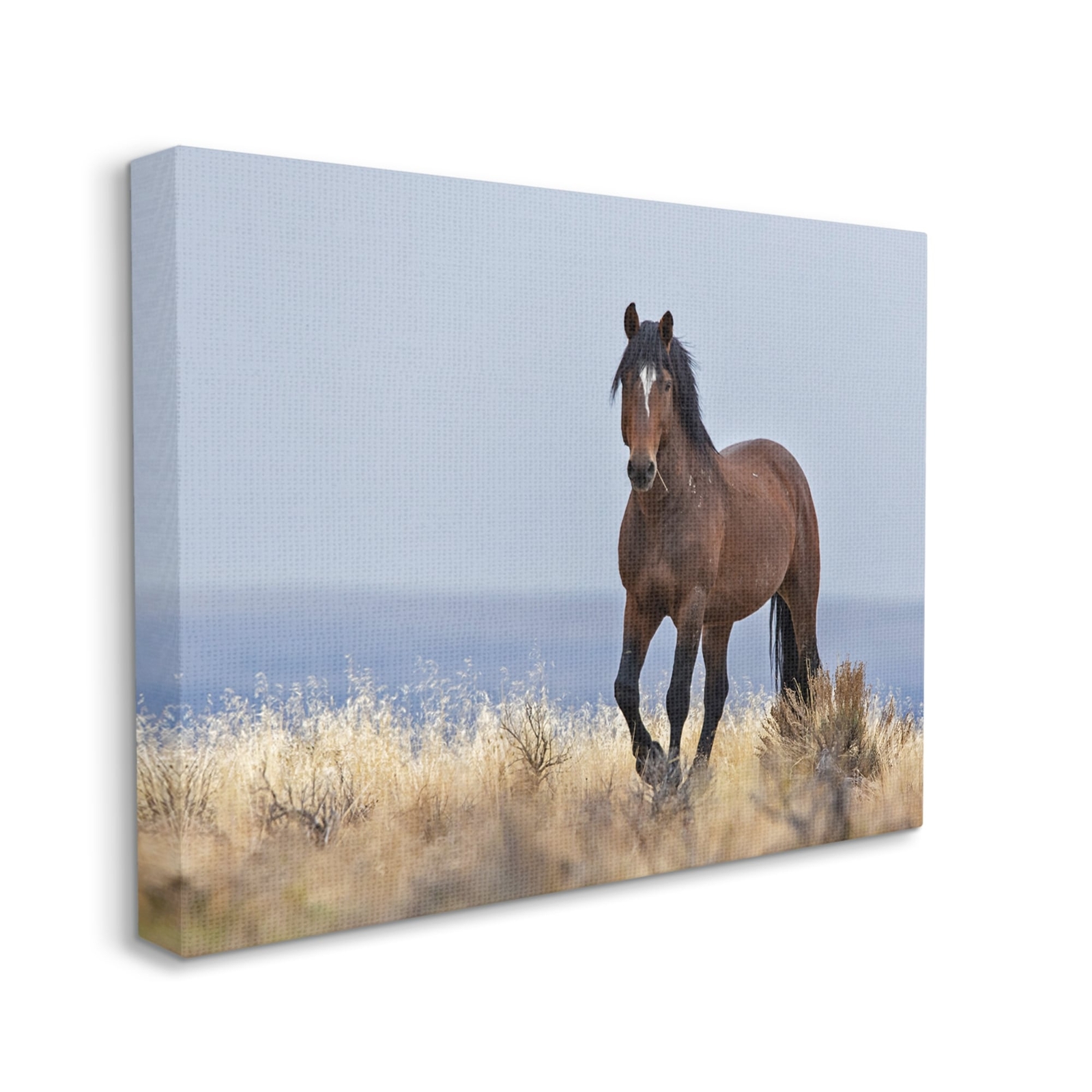 Stupell Equestrian Horse in Wild Countryside Soft Blue Sky Brown 16 x 20