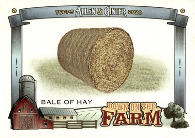 2020 Topps Allen & Ginter #DF-B Bale of Hay Down on the Farm