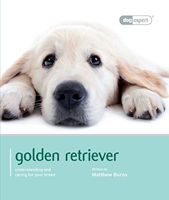 Golden Retriever - Dog Expert, Matthew Burns
