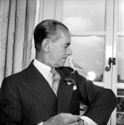 Conductor Sir Malcolm Sargent with his pet budgie July 1957 Old Photo 2