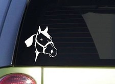 Quarter Horse sticker I843 6 inch Sticker horse decal