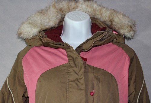 hairy chihuahua for sale