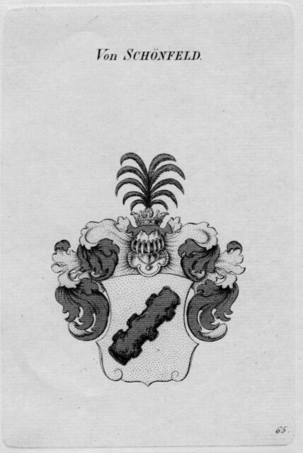 1820 - Schoenfeld Stemma Nobile! Coat Of Arms Heraldry Araldica