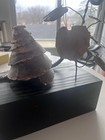 Rare Vintage Mid-Century 1966 Jere Brutalist Snail Sculpture — photo 4