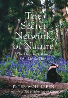 The Secret Network of Nature: The Delicate Balance ... | Buch | Zustand sehr gut