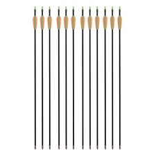 12 Fiberglaspfeile Pfeile Fiberglaspfeil Recurvebogen Sportbogen Bogenpfeile