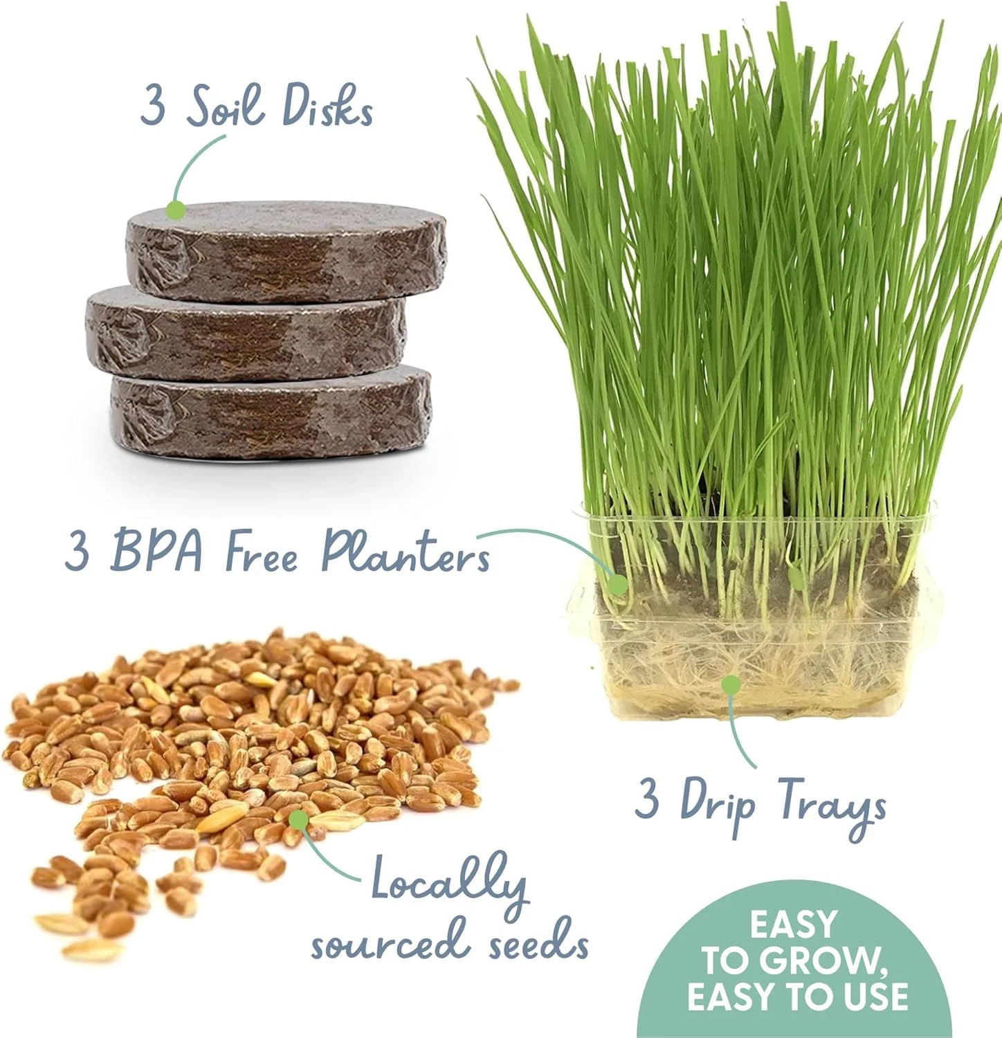 The Cat Ladies Cat Grass for Indoor Cats - Growing Kit - Organic Cat Grass Seeds