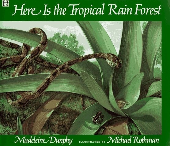 Here is the Tropical Rainforest by Dunphy, Madeline, Good Book
