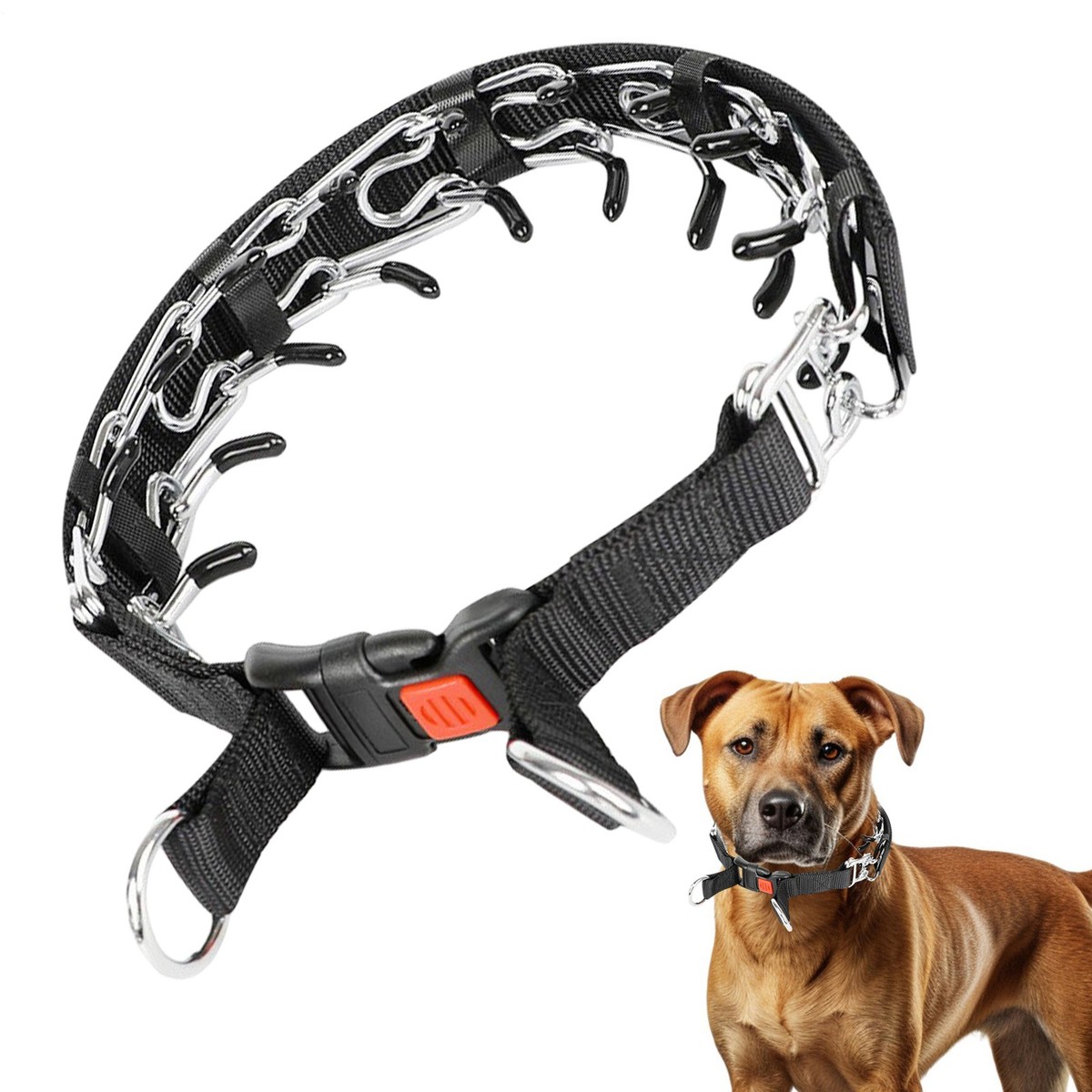 Prong Training Dog Collar Detachable Training Choker Collar Pinch