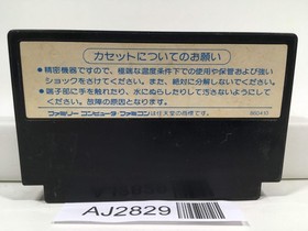 AJ2829 Faxanadu Nintendo Famicom NES Japan