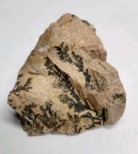Mount Sinai Stone Burning Bush Mysterious Rock Jabal Mosa  Egypt Rare Large