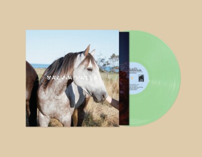 SALVIA PALTH / MELANCHOLE LP レコード s-l400.jpg