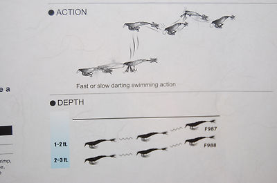 yo zuri shrimp crystal 3d jerkbait f988-hgs 3 1/2